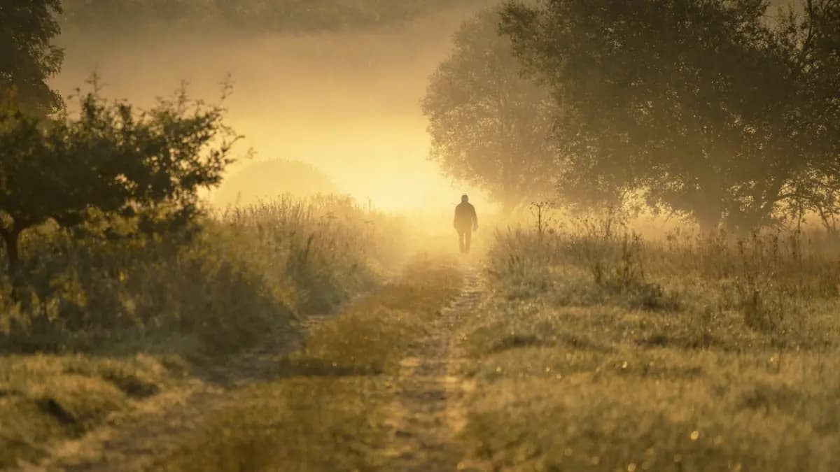 A solitary figure walking along a misty, golden-lit forest path at dawn, symbolising the uncertain but purposeful journey through the Dark Night of the Soul